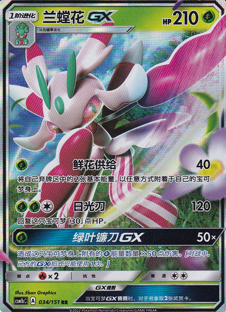 Mantidea GX (CSM1bC 034) - CH