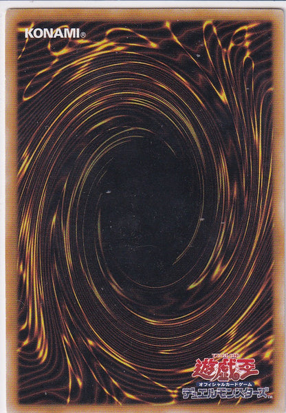 Blue-Eyes White Dragon YAP1-JP001 NM- Rückseite Originalfoto