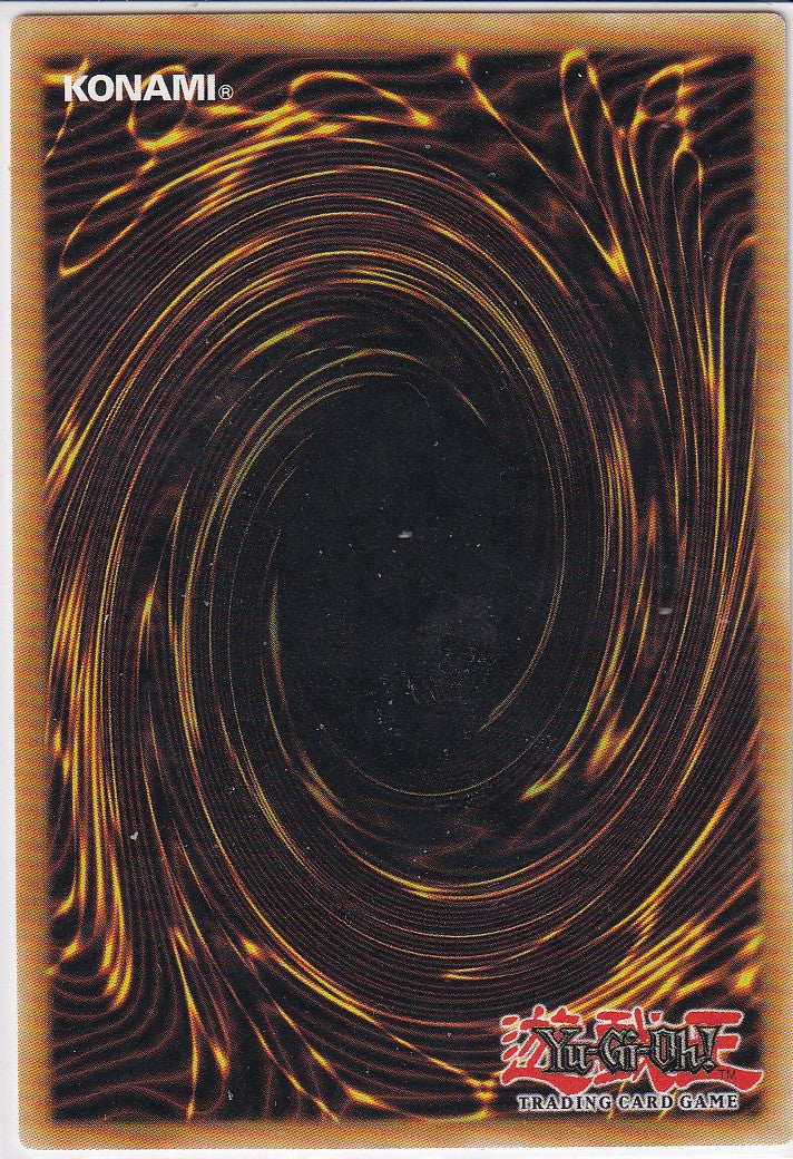 Exodia die Verbotene LOB-G101 Rückseite Originalfoto