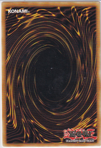 Exodia die Verbotene LOB-G101 Rückseite Originalfoto