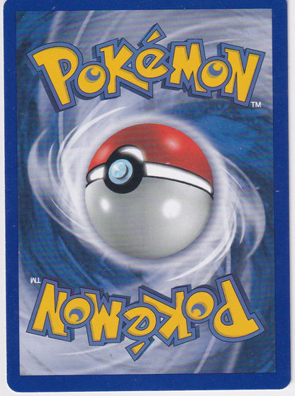 Raichu 61/165 Expedition Originalfoto Rückseite